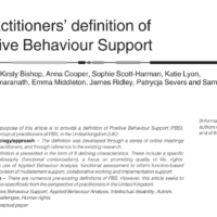 Positive Behaviour Support: A Practitioner’s Definition